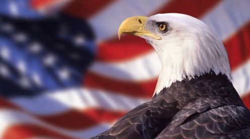 Bald Eagle and American Flag --- Image by © Ocean/Corbis