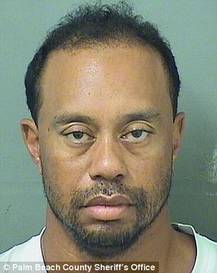 Tiger Woods' mug shot